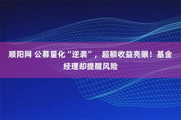 顺阳网 公募量化“逆袭”，超额收益亮眼！基金经理却提醒风险