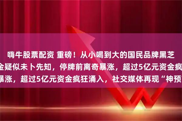 嗨牛股票配资 重磅！从小喝到大的国民品牌黑芝麻“卖身”国资！有资金疑似未卜先知，停牌前离奇暴涨，超过5亿元资金疯狂涌入，社交媒体再现“神预言”