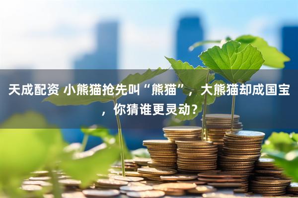 天成配资 小熊猫抢先叫“熊猫”，大熊猫却成国宝，你猜谁更灵动？