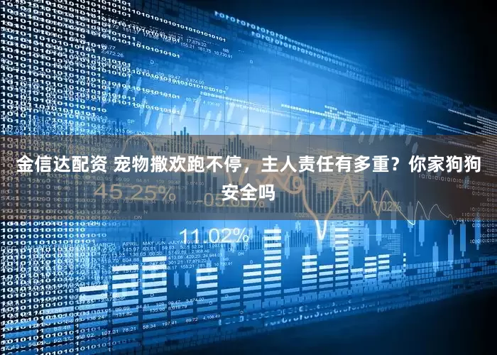 金信达配资 宠物撒欢跑不停，主人责任有多重？你家狗狗安全吗