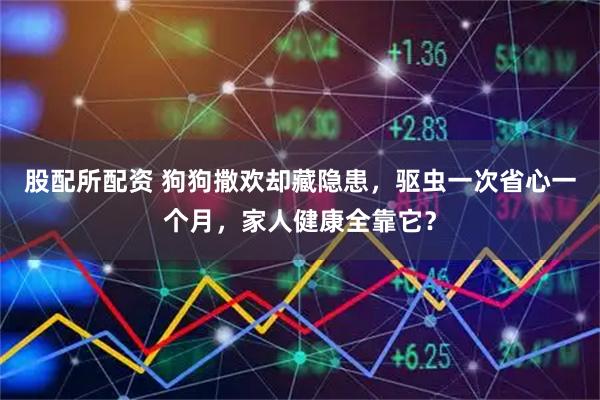 股配所配资 狗狗撒欢却藏隐患，驱虫一次省心一个月，家人健康全靠它？