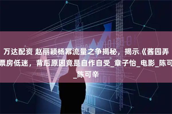万达配资 赵丽颖杨幂流量之争揭秘，揭示《酱园弄》票房低迷，背后原因竟是自作自受_章子怡_电影_陈可辛